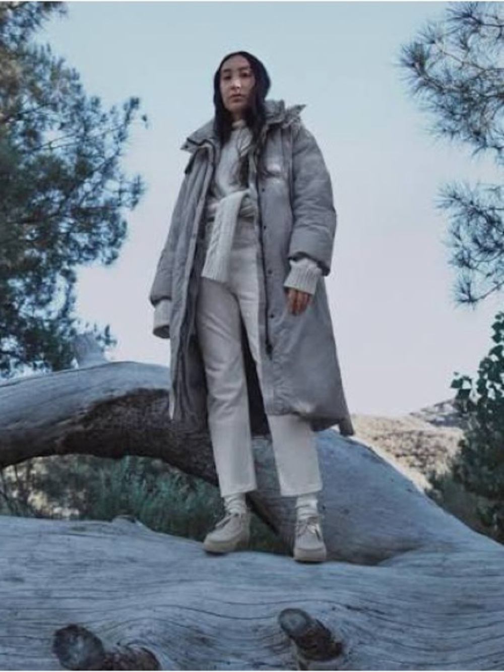 Everlane Duvet Puffer Coat